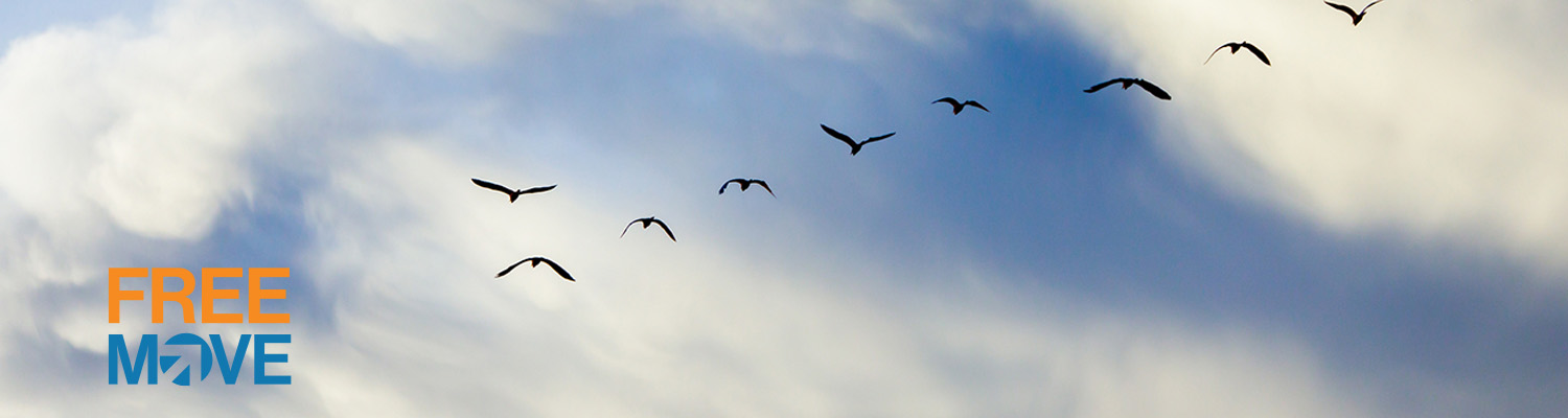 Free_Move landing hero2